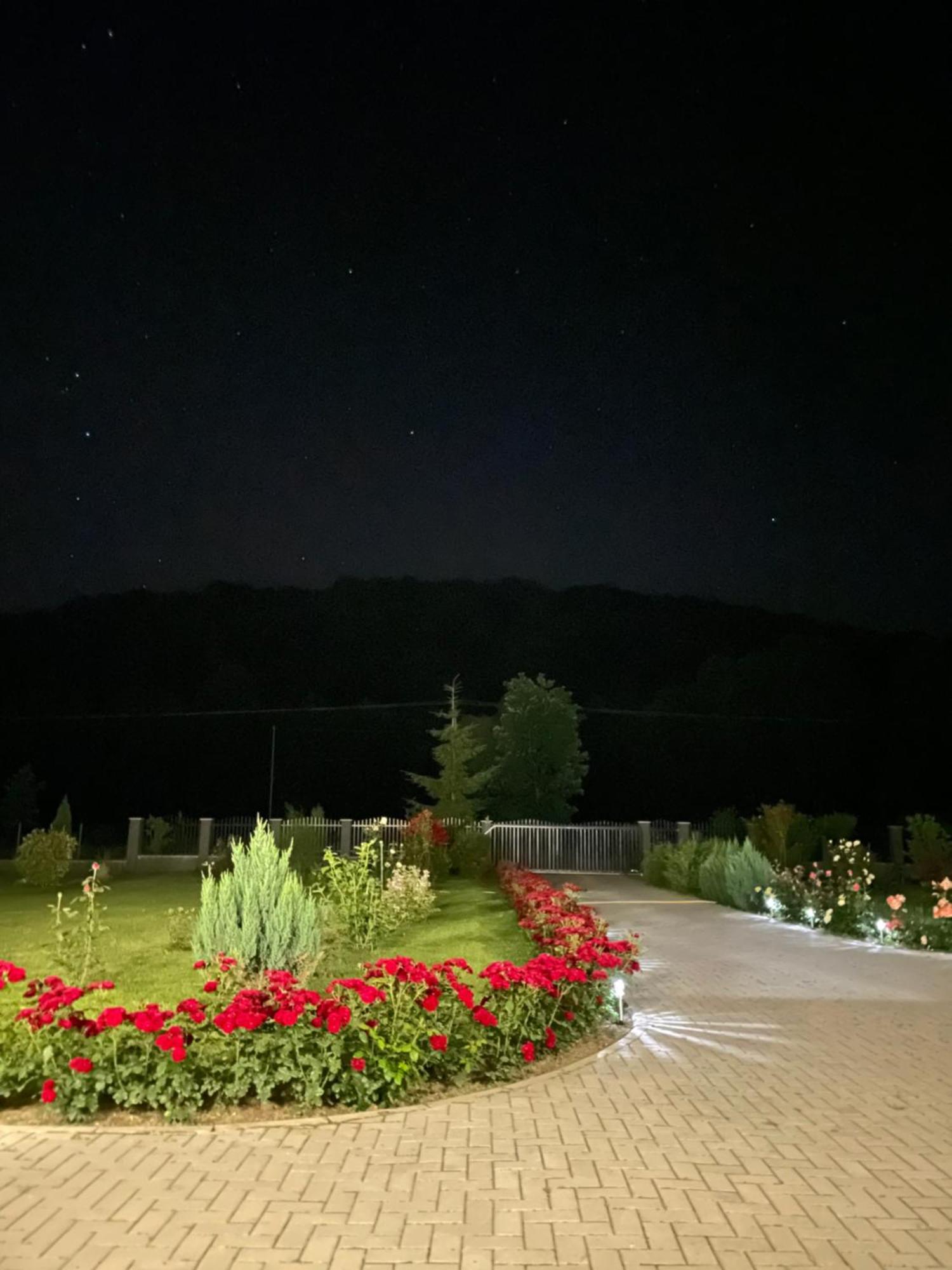 Hotel Casa Nagy Sovata Exteriér fotografie