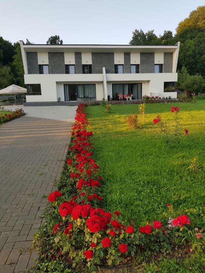 Hotel Casa Nagy Sovata Exteriér fotografie